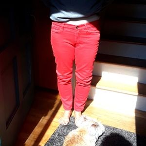 Lucky Jeans Size 28 / 6 Charlie Capri Red